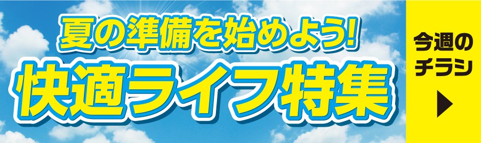 チラシ